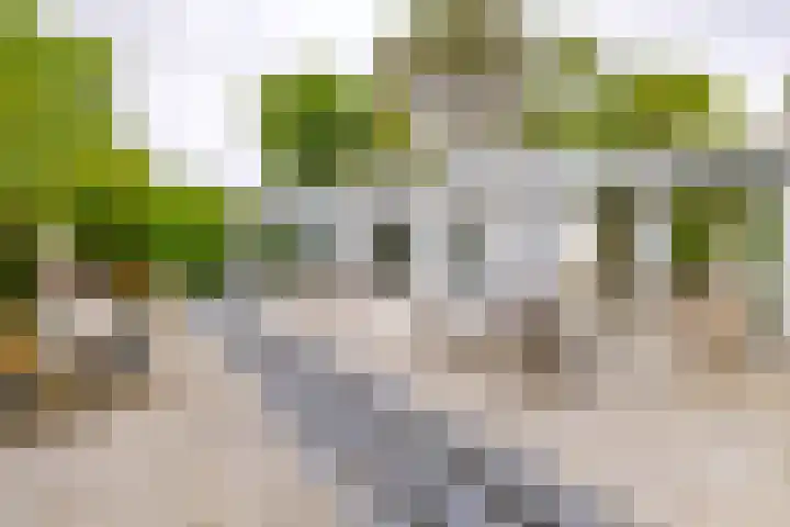 Pieter Postlaan 5 Wassenaar thumbnail 52