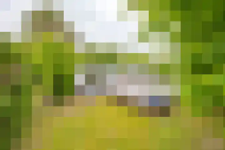 Pieter Postlaan 5 Wassenaar thumbnail 54