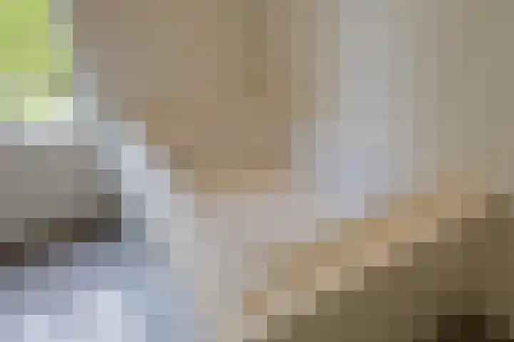 Pieter Postlaan 5 Wassenaar thumbnail 58