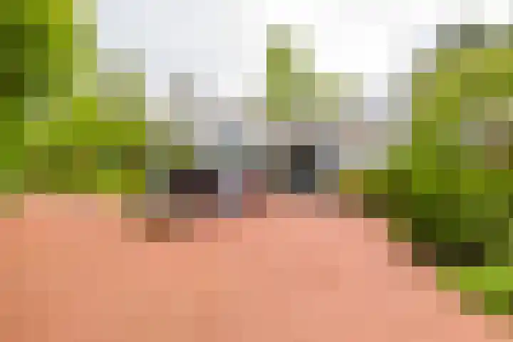 Pieter Postlaan 5 Wassenaar thumbnail 7