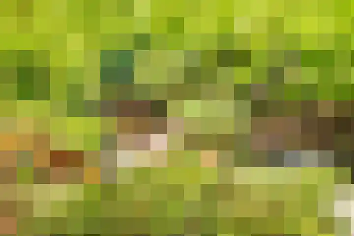 Pieter Postlaan 5 Wassenaar thumbnail 72