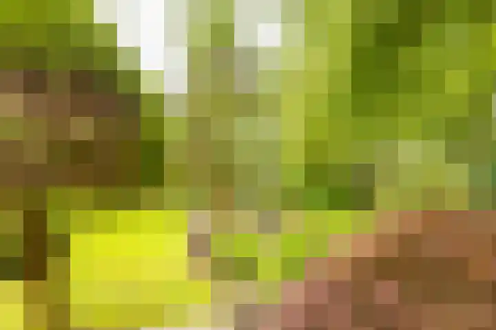 Pieter Postlaan 5 Wassenaar thumbnail 73