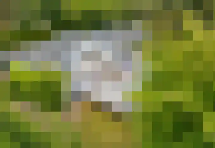Pieter Postlaan 5 Wassenaar thumbnail 74