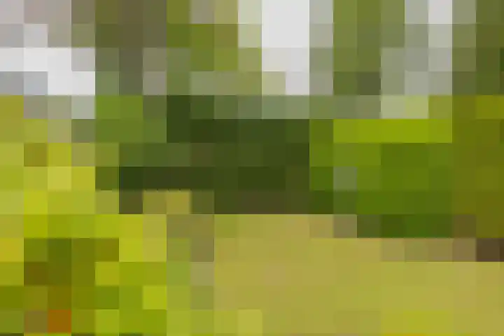 Pieter Postlaan 5 Wassenaar thumbnail 75