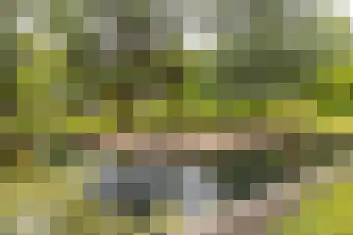 Pieter Postlaan 5 Wassenaar thumbnail 76