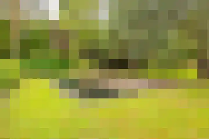 Pieter Postlaan 5 Wassenaar thumbnail 77