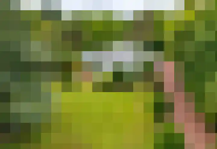 Pieter Postlaan 5 Wassenaar thumbnail 78