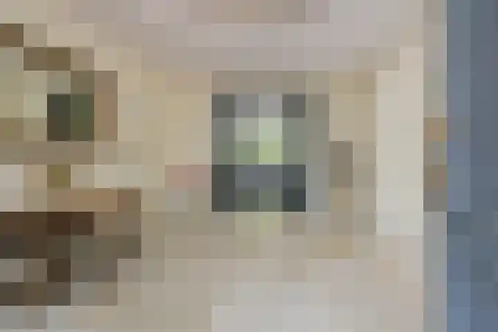 Pieter Postlaan 5 Wassenaar thumbnail 8