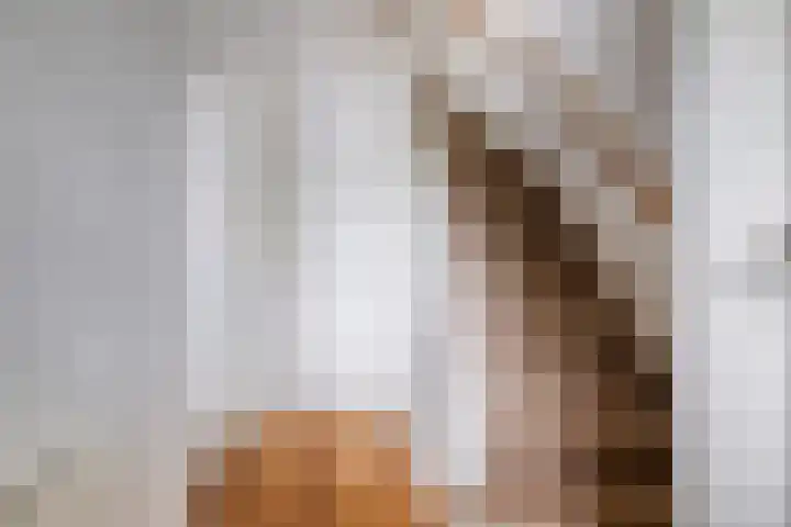 Pieter Postlaan 50 Hilversum thumbnail 10