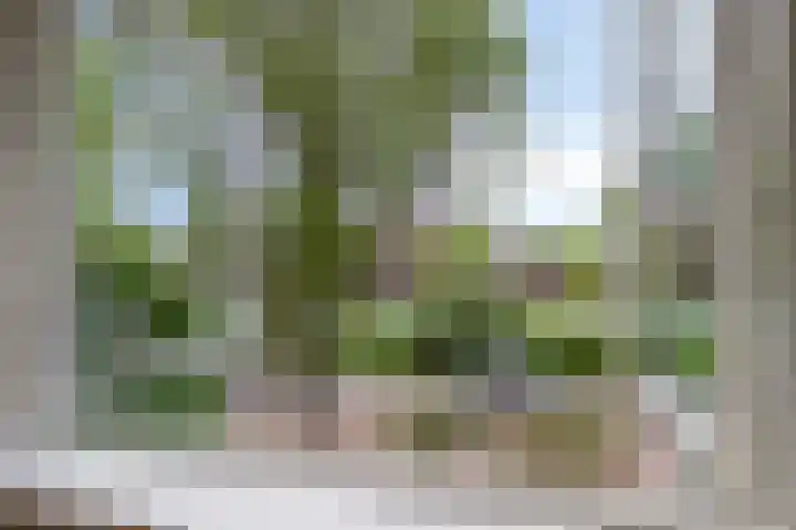 Pieter Postlaan 50 Hilversum thumbnail 19