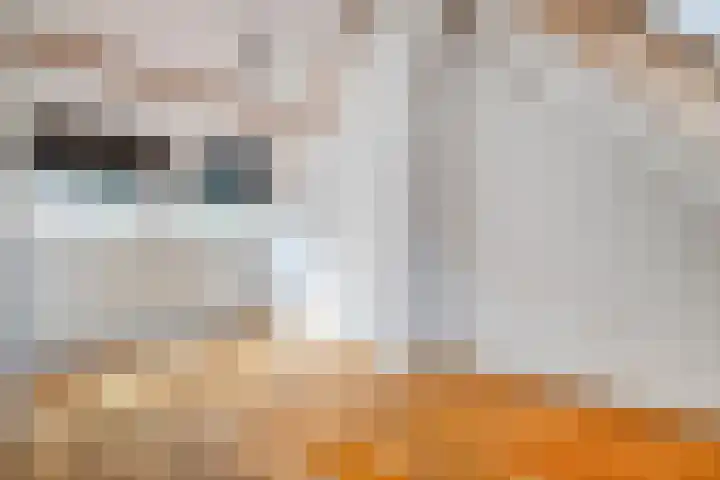 Pieter Postlaan 50 Hilversum thumbnail 25