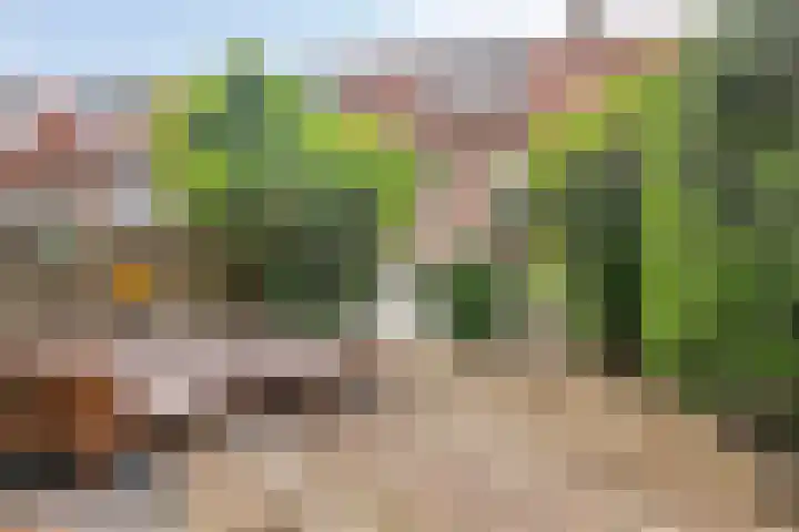 Pieter Postlaan 50 Hilversum thumbnail 26