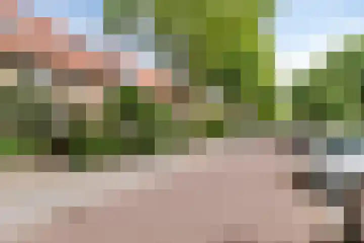 Pieter Postlaan 50 Hilversum thumbnail 31