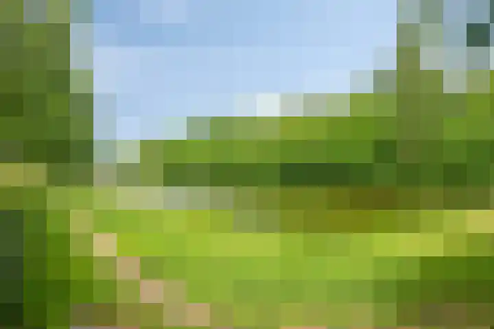 Pieter Postlaan 50 Hilversum thumbnail 32