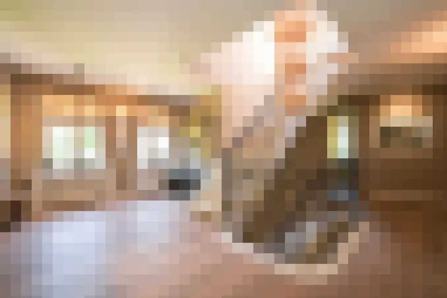 Pieter Postlaan 6 Wassenaar thumbnail 32
