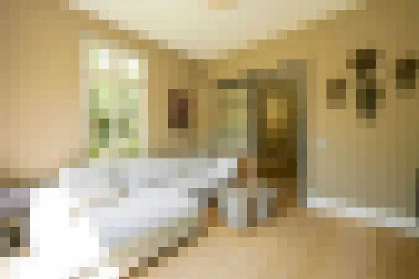Pieter Postlaan 6 Wassenaar thumbnail 9