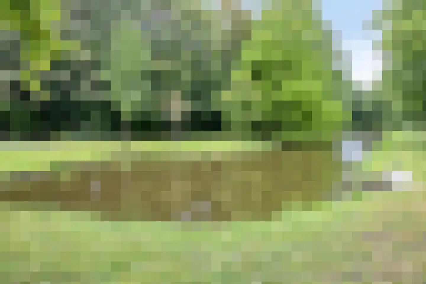 Pieter Postlaan 83 A Rotterdam thumbnail 22