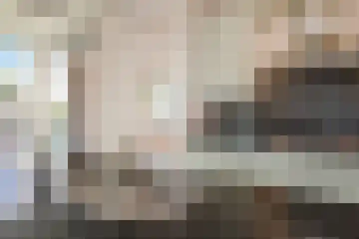Pieter Postplaats 12 Voorburg thumbnail 16