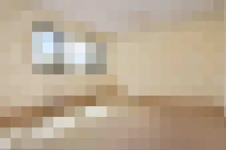 Pieter Postplaats 12 Voorburg thumbnail 23
