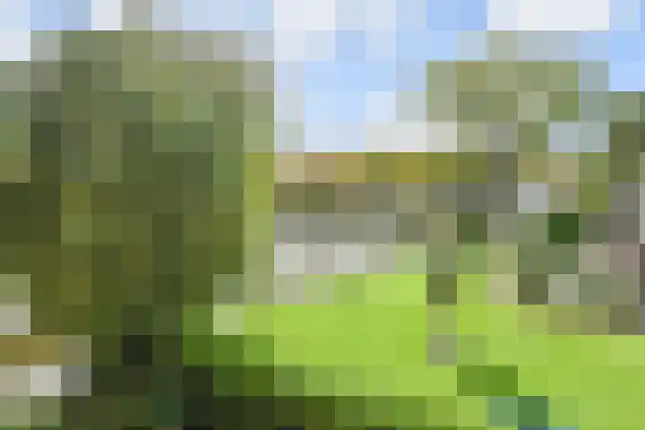 Pieter Postplaats 12 Voorburg thumbnail 30