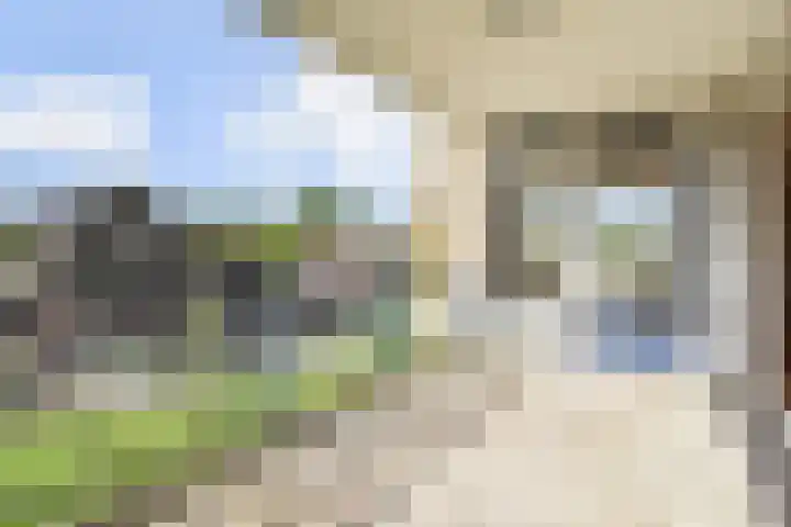 Pieter Postplaats 12 Voorburg thumbnail 32