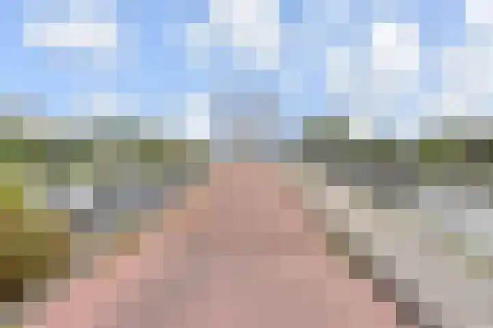 Pieter Postplaats 12 Voorburg thumbnail 35