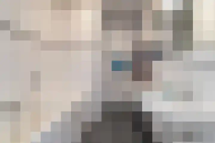 Pieter Postplaats 26 Voorburg thumbnail 19