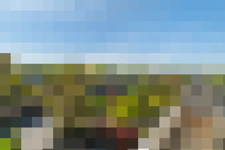Pieter Postplaats 26 Voorburg thumbnail 22