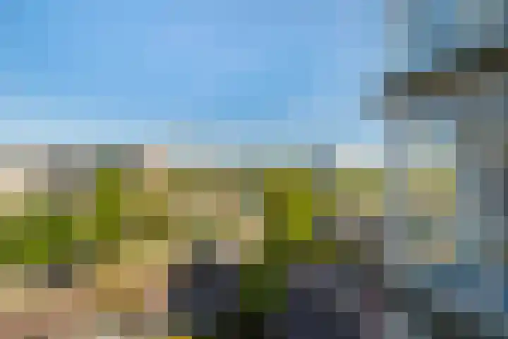 Pieter Postplaats 26 Voorburg thumbnail 23