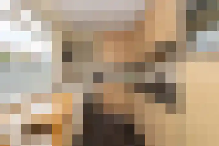 Pieter Postplein 31 Tilburg thumbnail 13