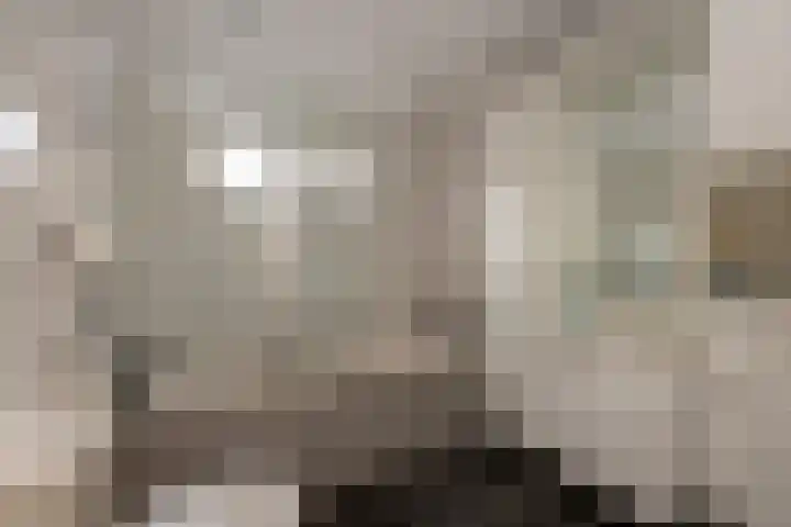 Pieter Postplein 31 Tilburg thumbnail 15