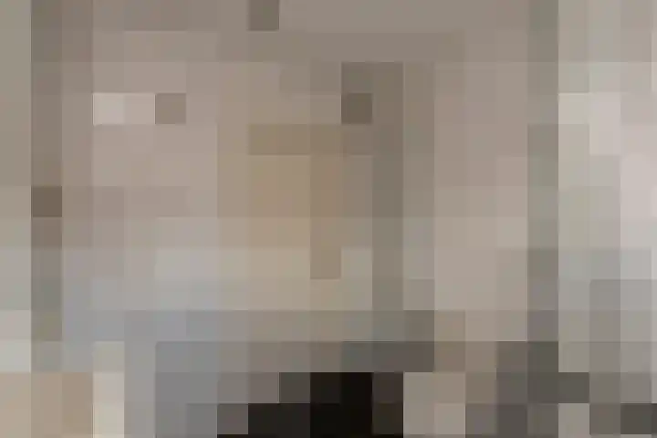 Pieter Postplein 31 Tilburg thumbnail 17