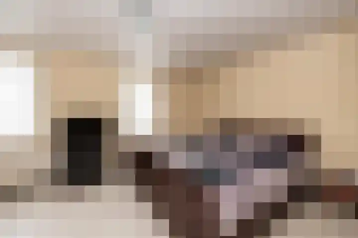Pieter Postplein 31 Tilburg thumbnail 19
