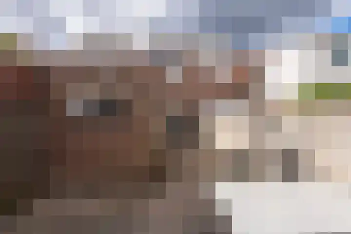 Pieter Postplein 31 Tilburg thumbnail 31