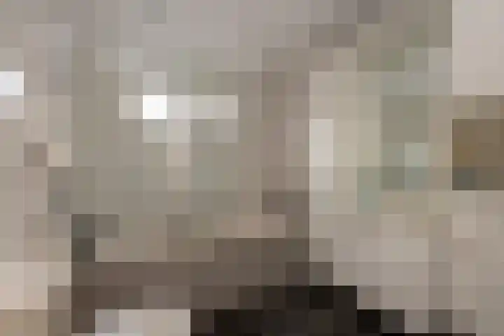 Pieter Postplein 31 Tilburg thumbnail 4