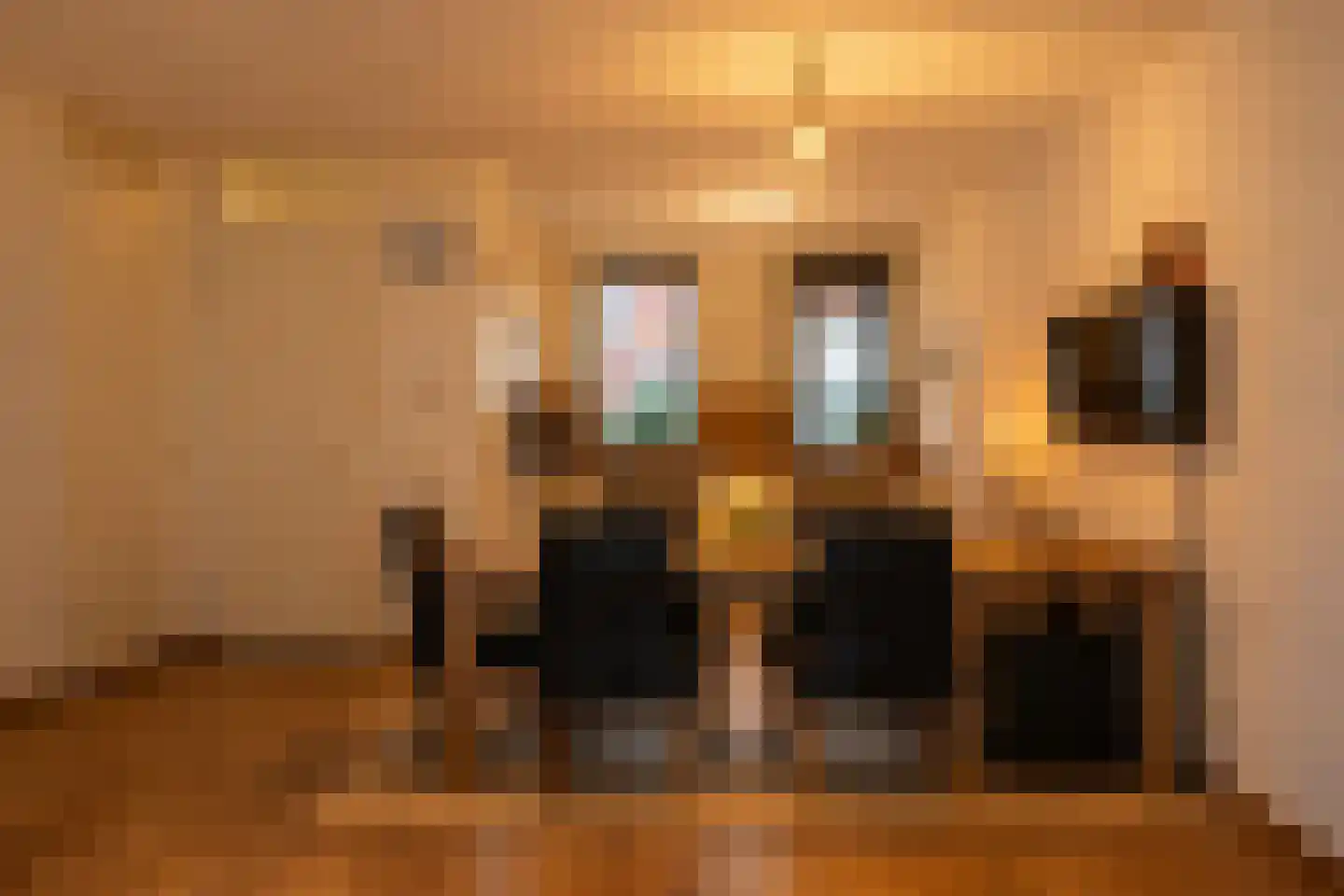 Pieter Postsingel 203 Amsterdam thumbnail 8