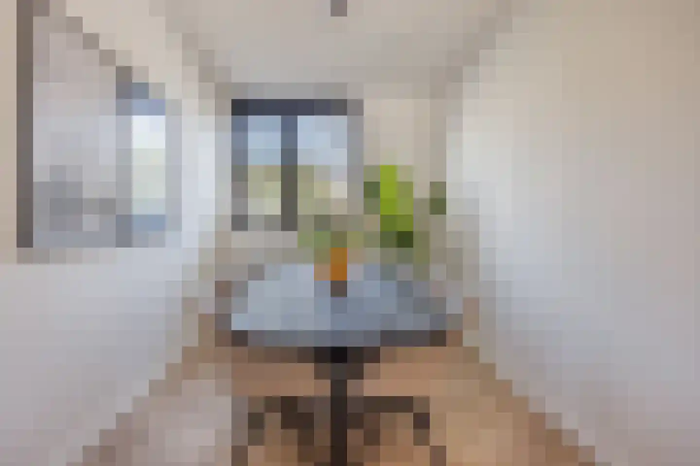 Pieter Poststraat 32 Maastricht thumbnail 17