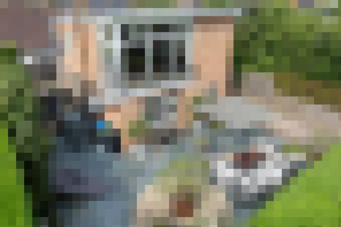 Pieter Poststraat 7 Hellevoetsluis thumbnail 65