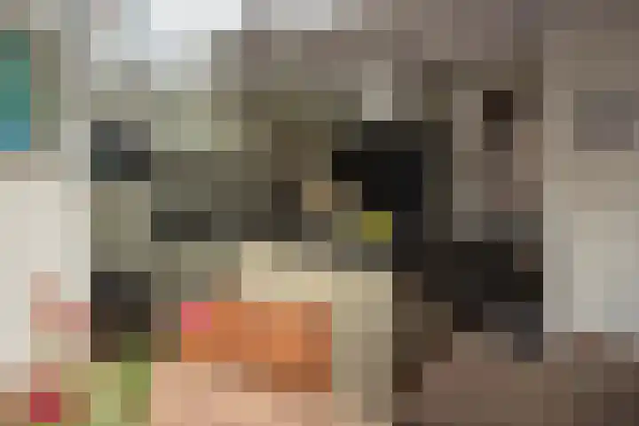 Pieter Puypeplein 27 Apeldoorn thumbnail 21