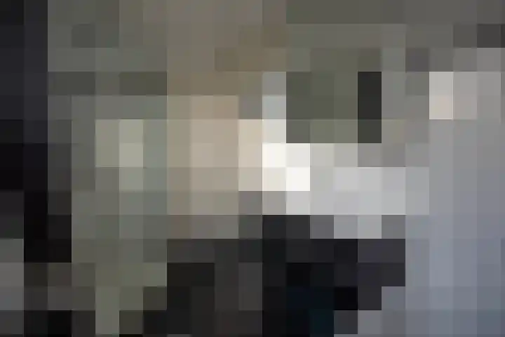 Pieter Puypeplein 27 Apeldoorn thumbnail 33
