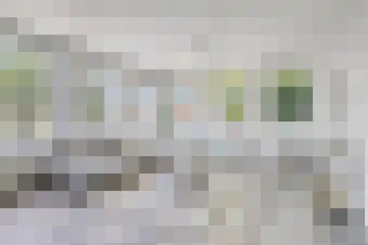 Pieter Quastweg 11 Eindhoven thumbnail 12