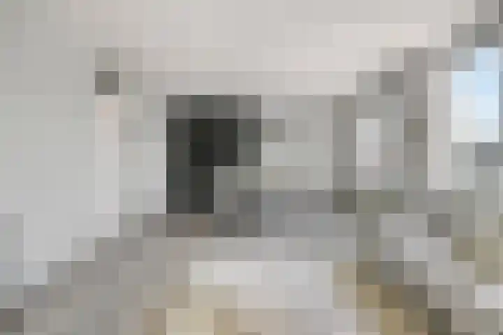 Pieter Quastweg 11 Eindhoven thumbnail 13