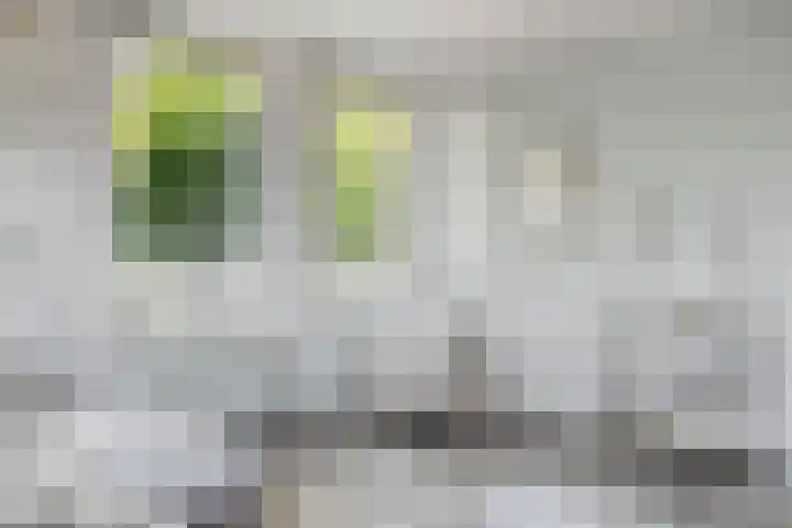Pieter Quastweg 11 Eindhoven thumbnail 14