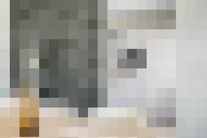 Pieter Quastweg 11 Eindhoven thumbnail 15