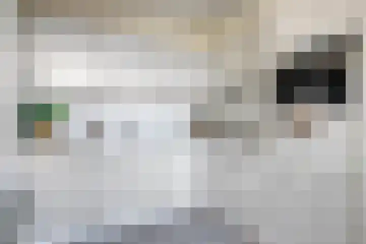 Pieter Quastweg 11 Eindhoven thumbnail 16