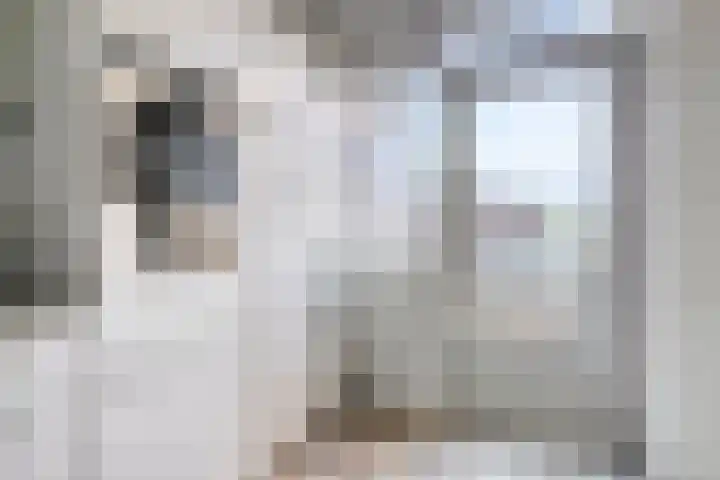 Pieter Quastweg 11 Eindhoven thumbnail 17