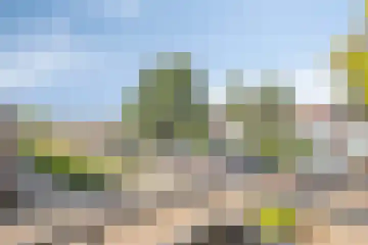 Pieter Quastweg 11 Eindhoven thumbnail 19