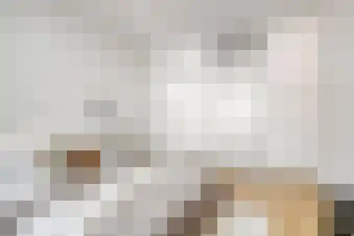 Pieter Quastweg 11 Eindhoven thumbnail 21