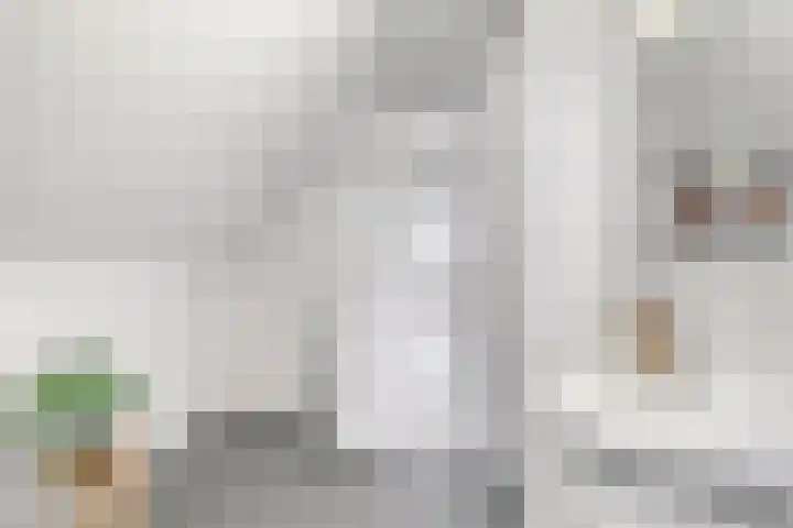 Pieter Quastweg 11 Eindhoven thumbnail 22