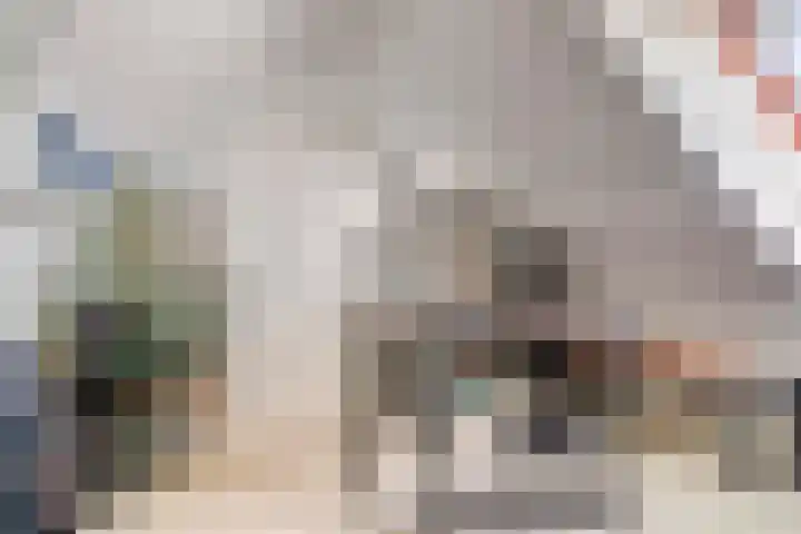 Pieter Quastweg 11 Eindhoven thumbnail 26